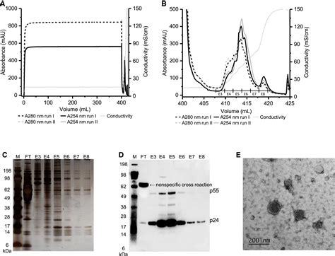 Lentiviral Vector Purification Using Nanofiber Ion.